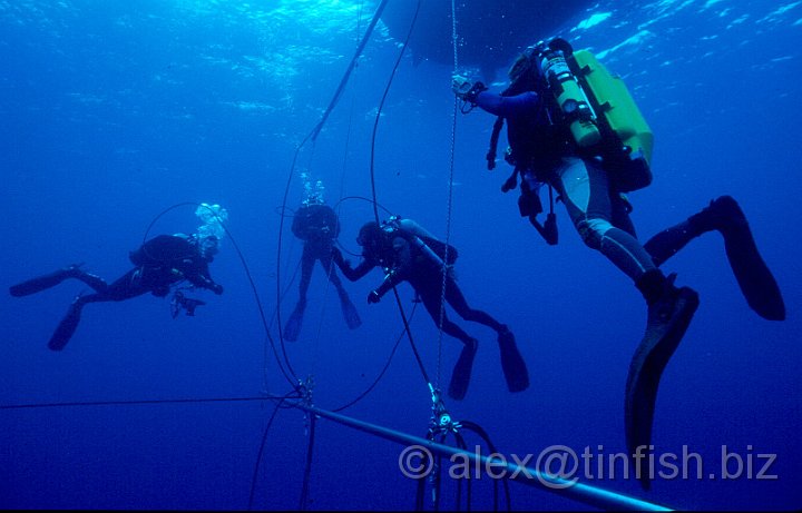 Deco 8.jpg - Hanging around on the deco trapeze